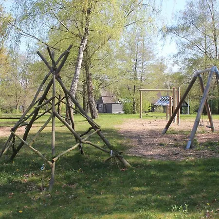 Beech Plauer 4*