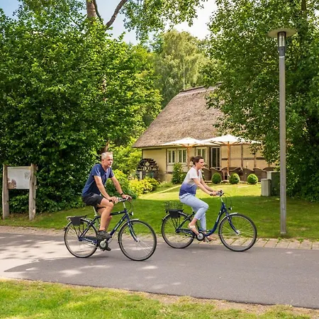 Beech Plauer 4* Ganzlin