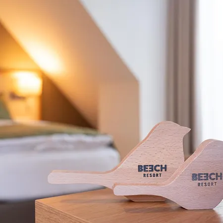 Beech Plauer 4* Ganzlin