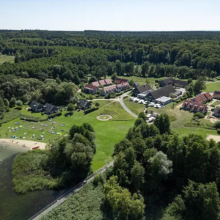 Beech Plauer 4* Ganzlin